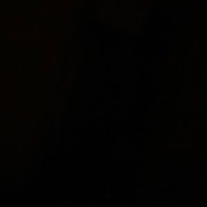 Meet your Posher, Domingo